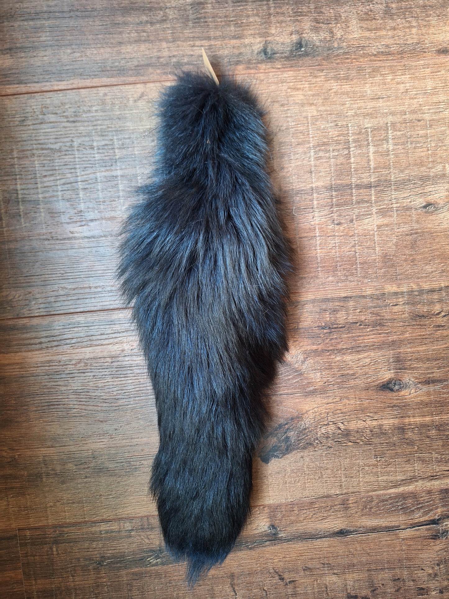 Dark painted fox tails