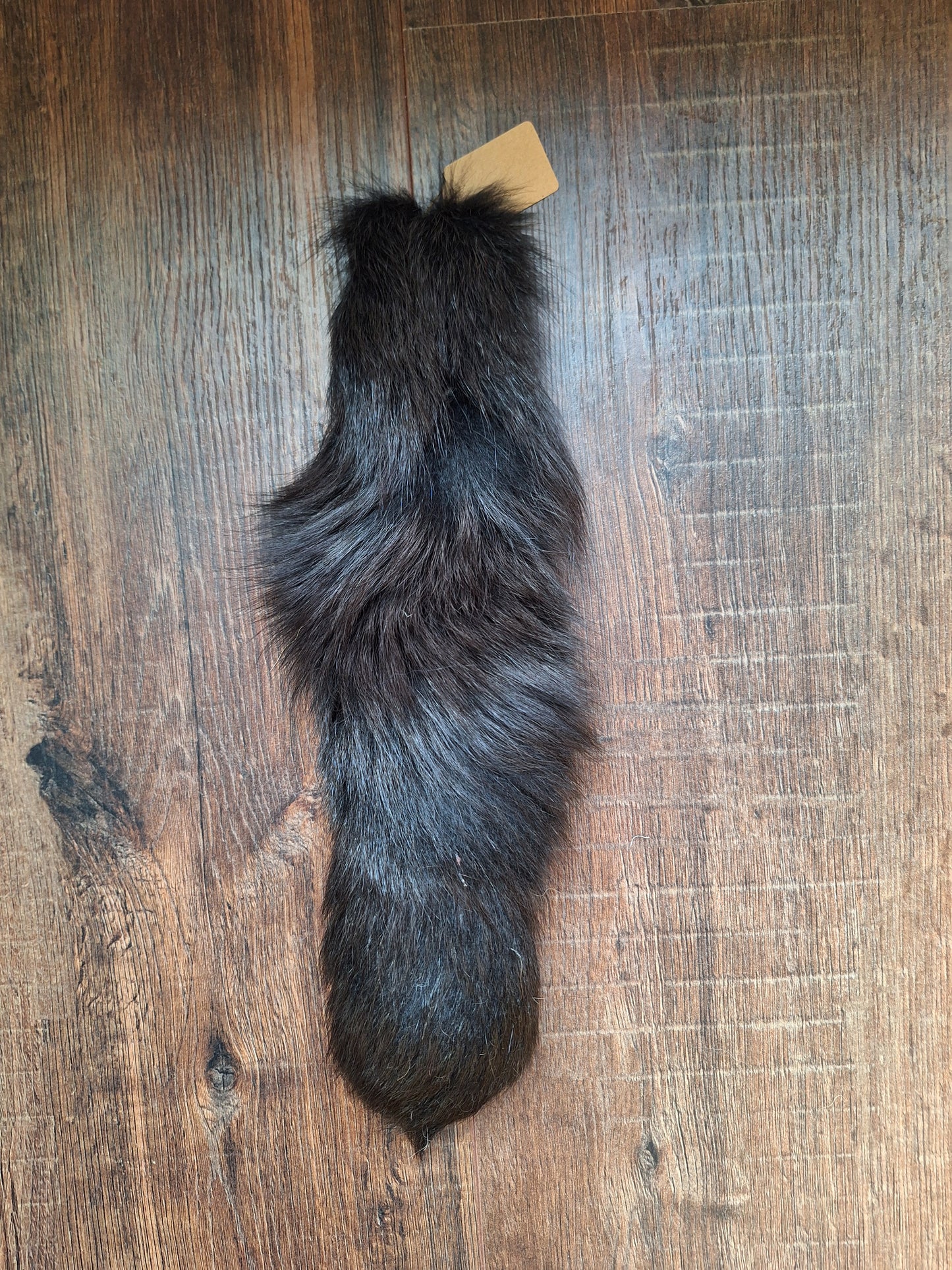 Dark painted fox tails