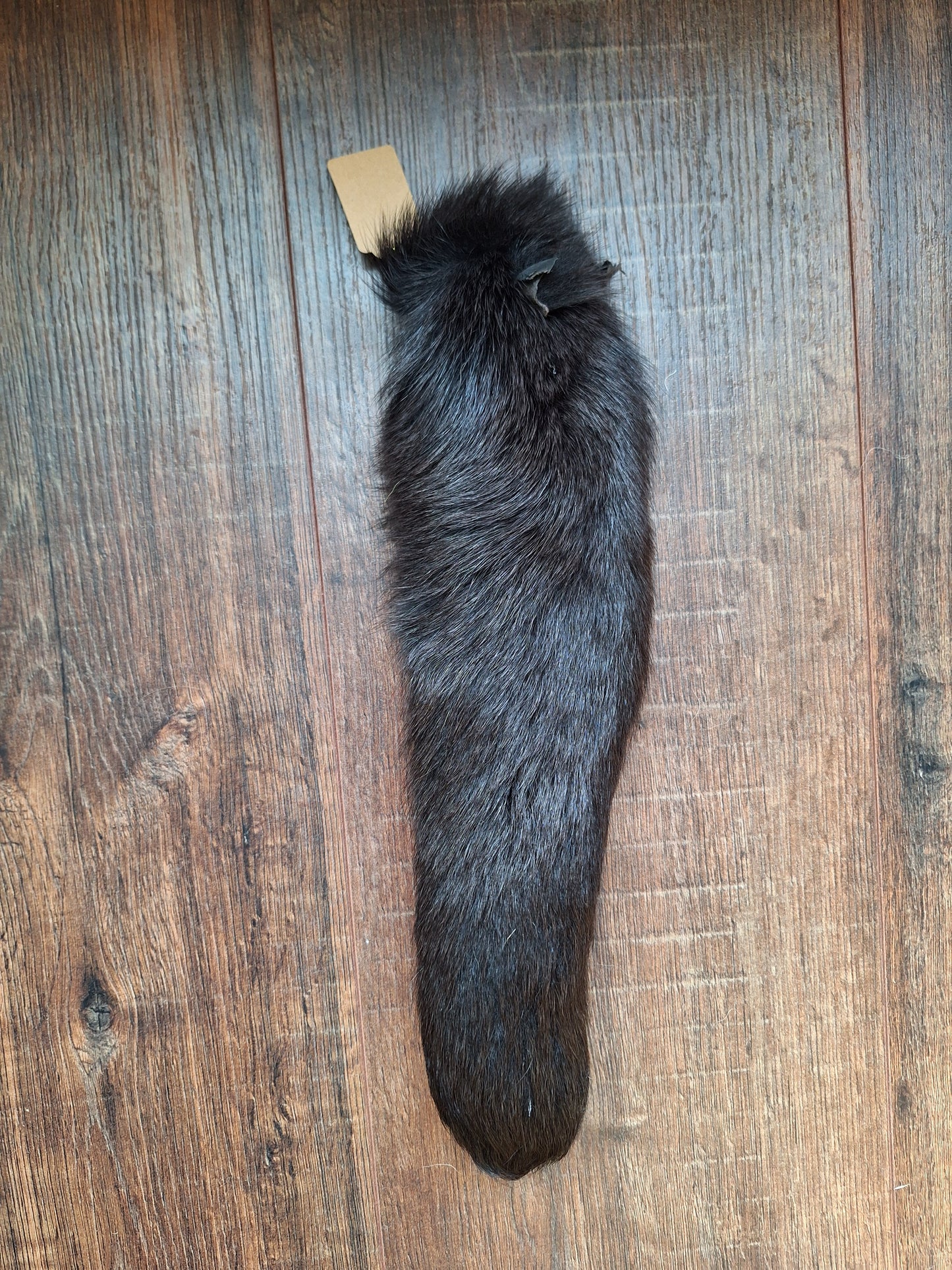 Dark painted fox tails