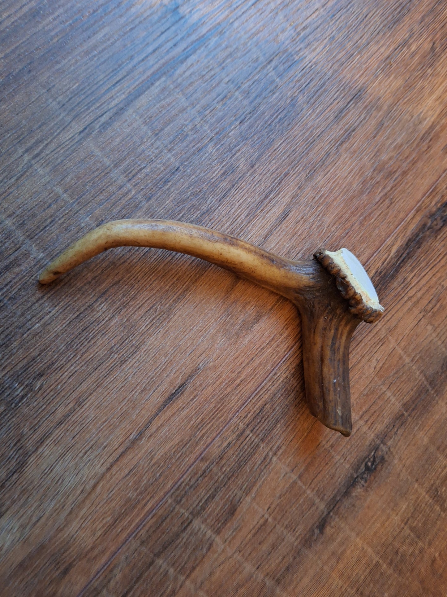 Set of 4 antler pieces