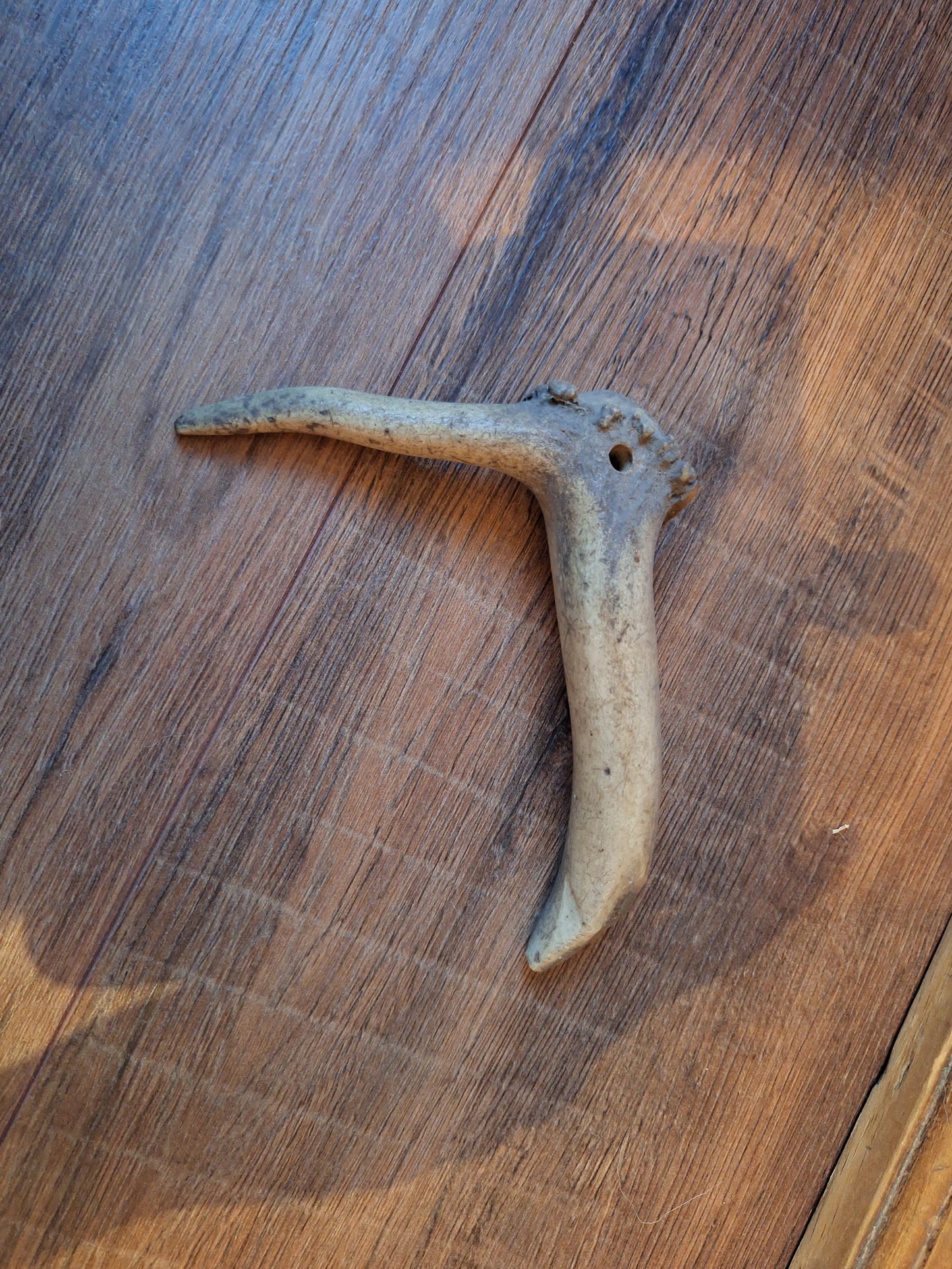 Set of 4 antler pieces