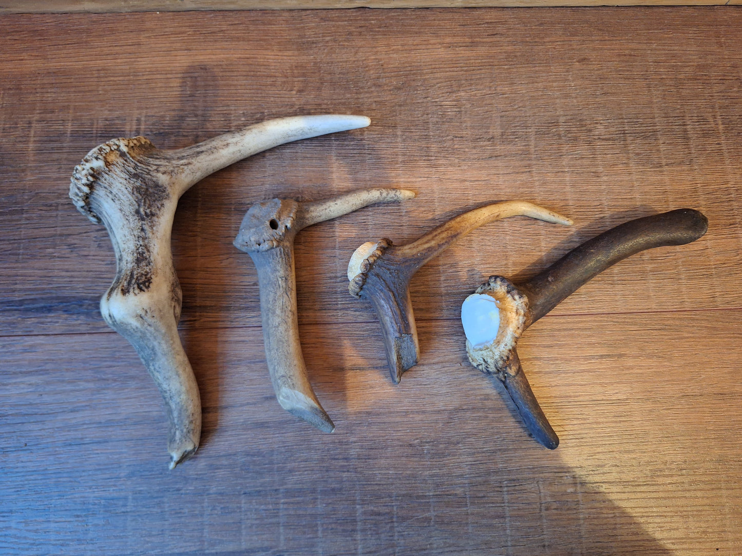 Set of 4 antler pieces