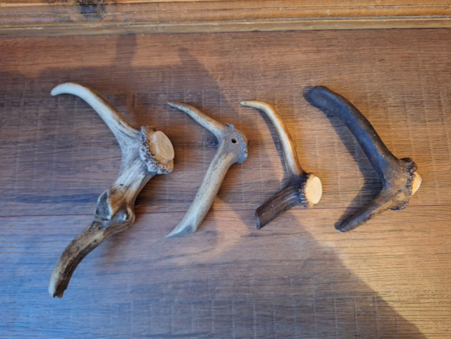 Set of 4 antler pieces