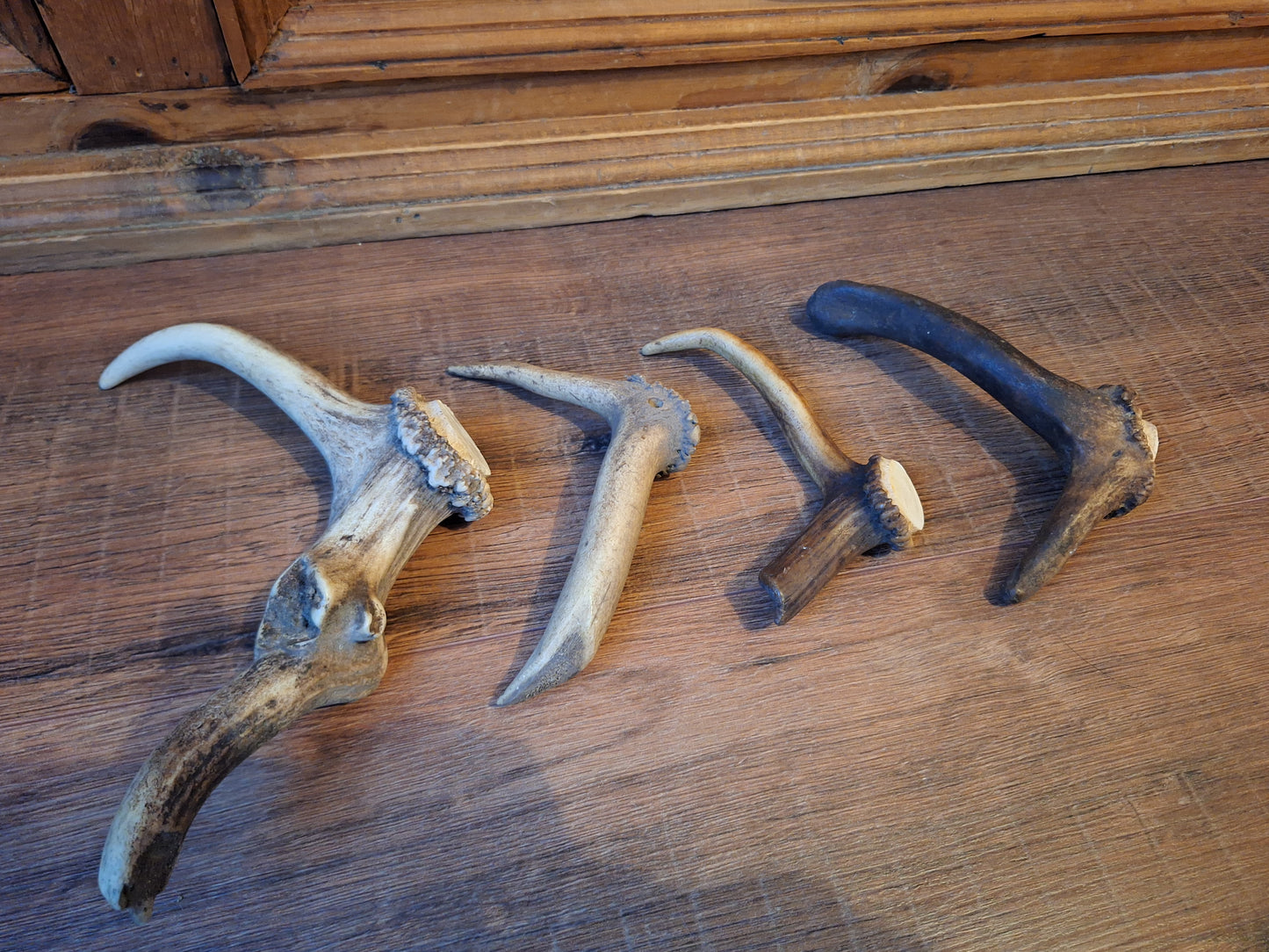 Set of 4 antler pieces