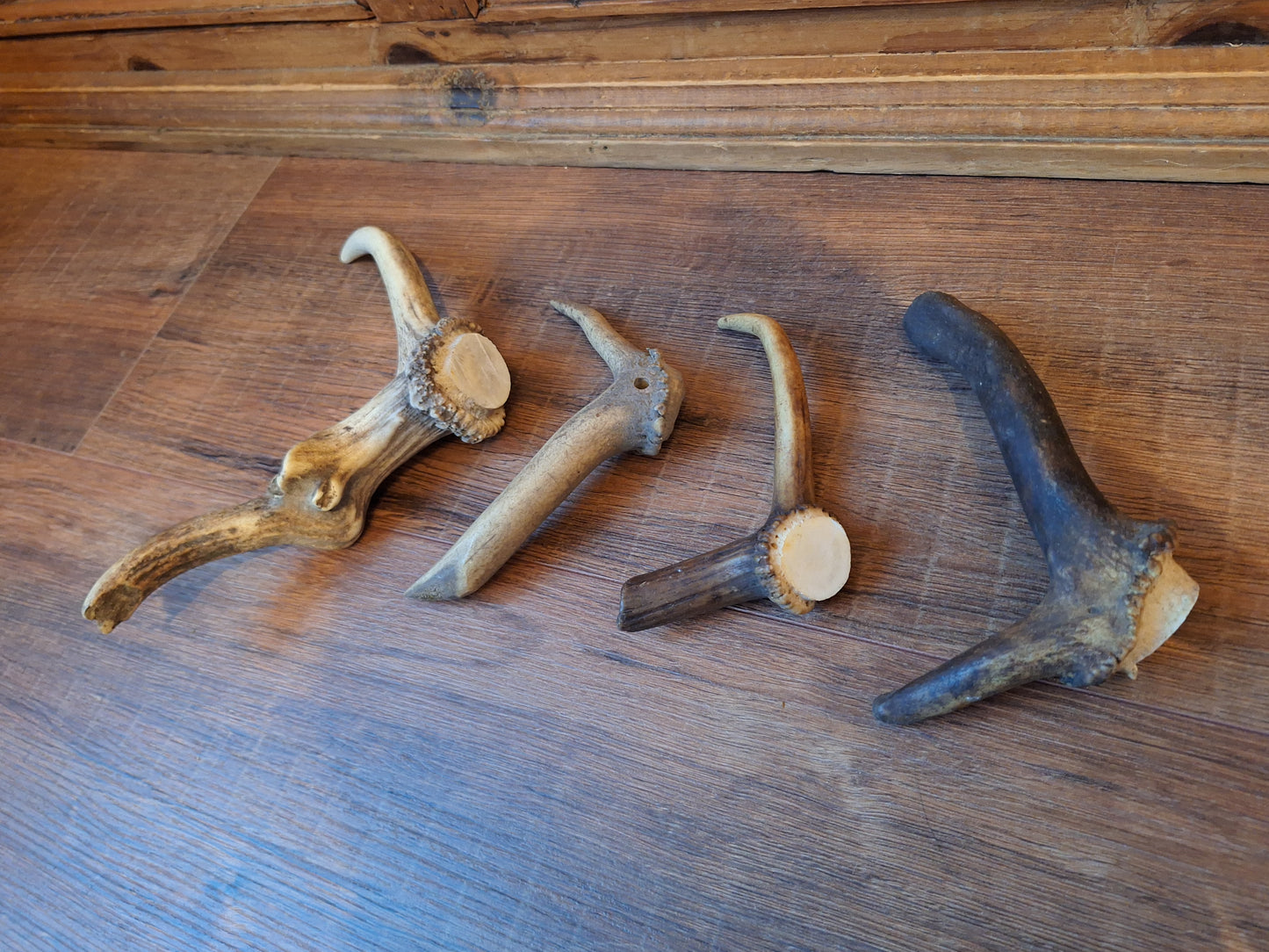 Set of 4 antler pieces