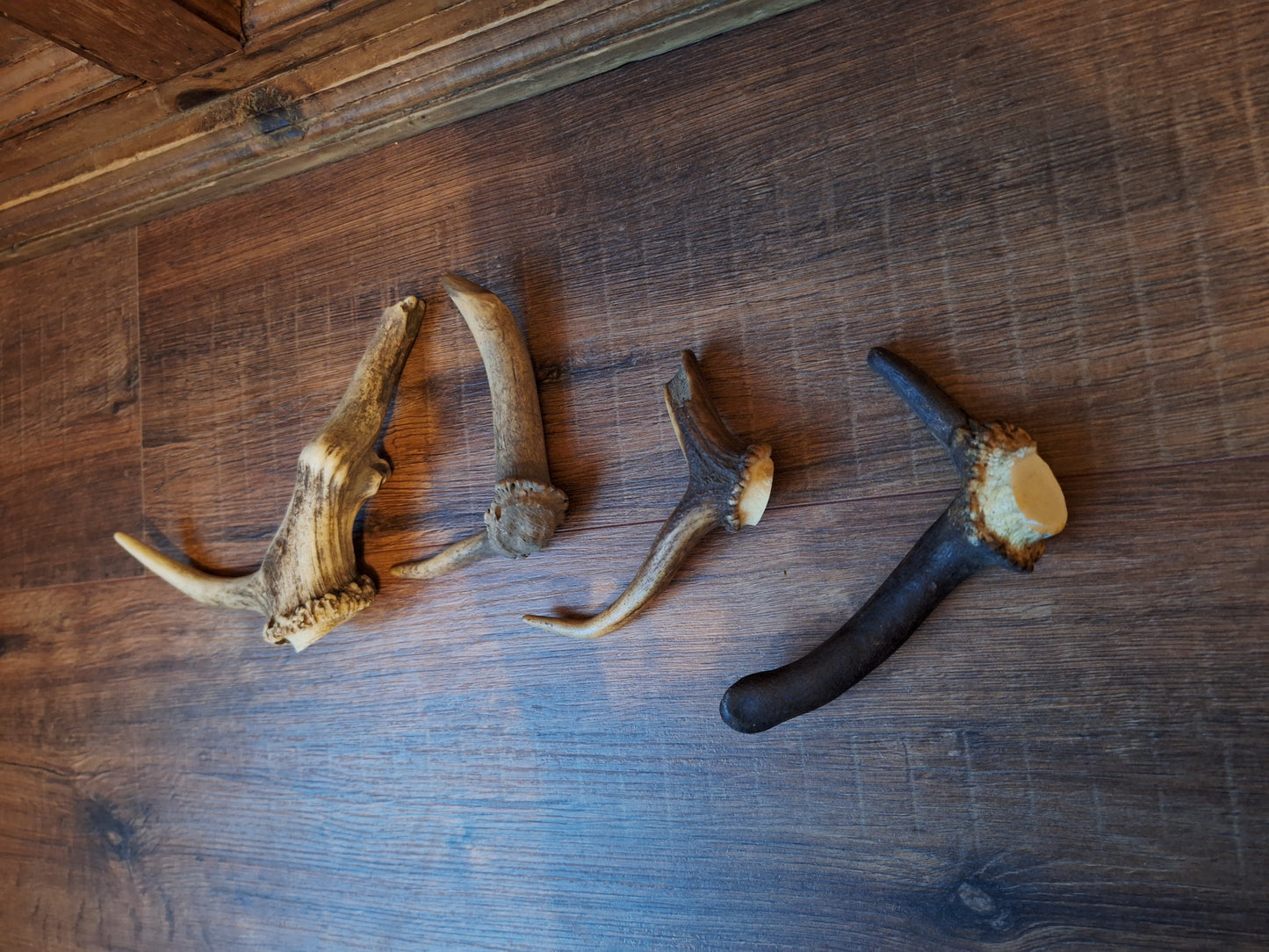 Set of 4 antler pieces