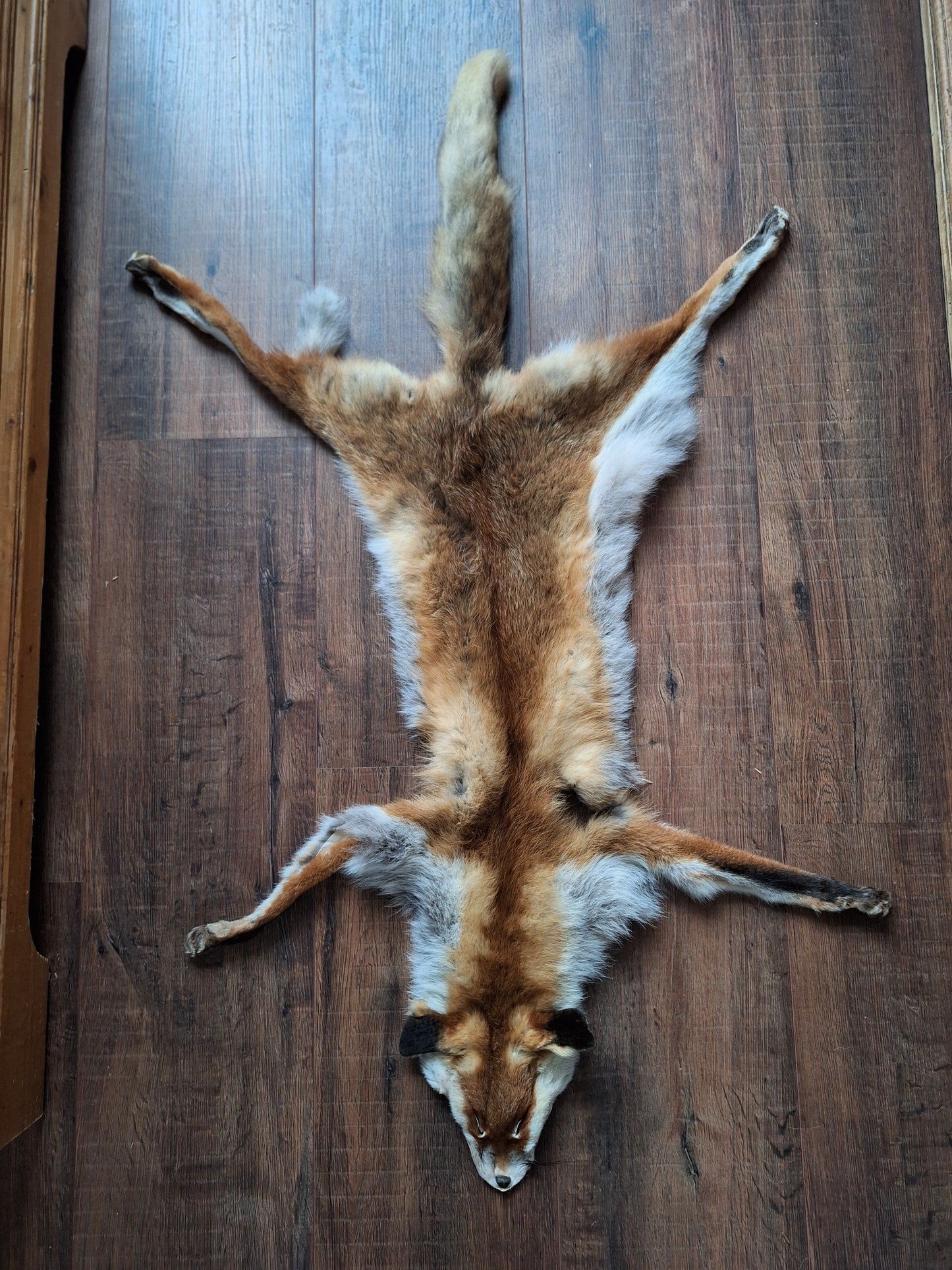 Red fox hide #18