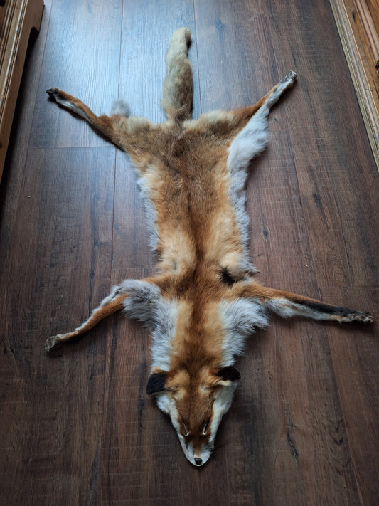 Red fox hide #18