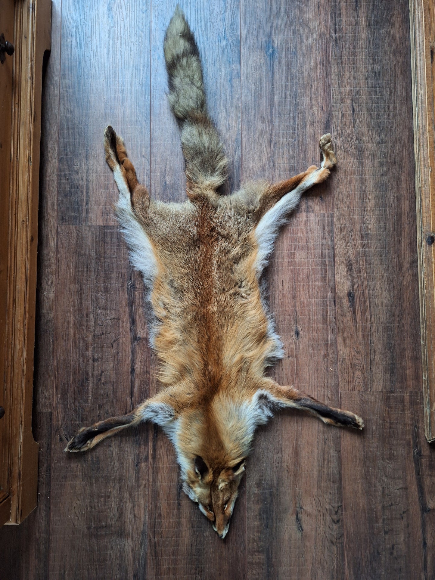 Red fox hide #19