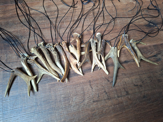 Roe deer antler necklaces