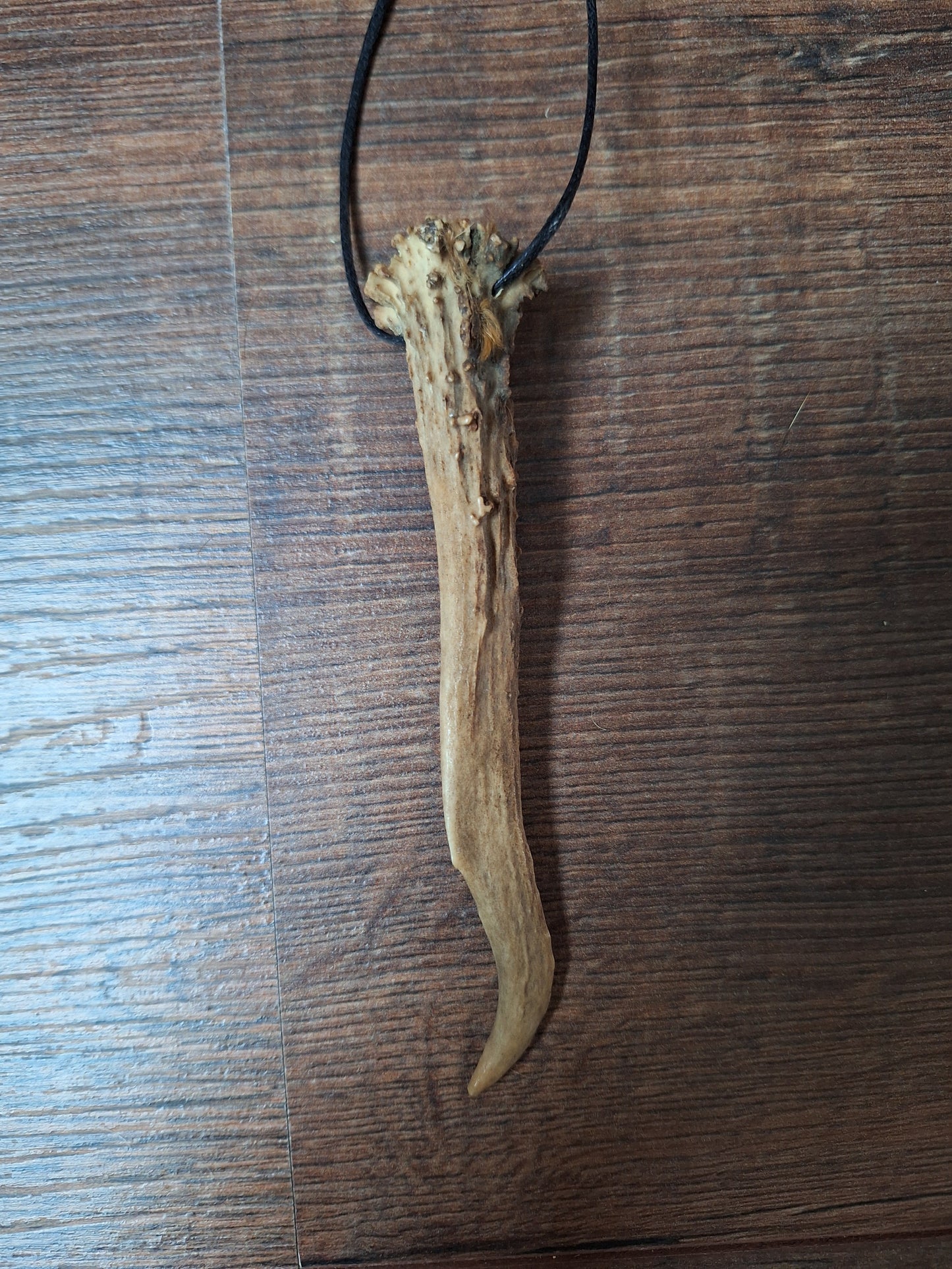 Roe deer antler necklaces