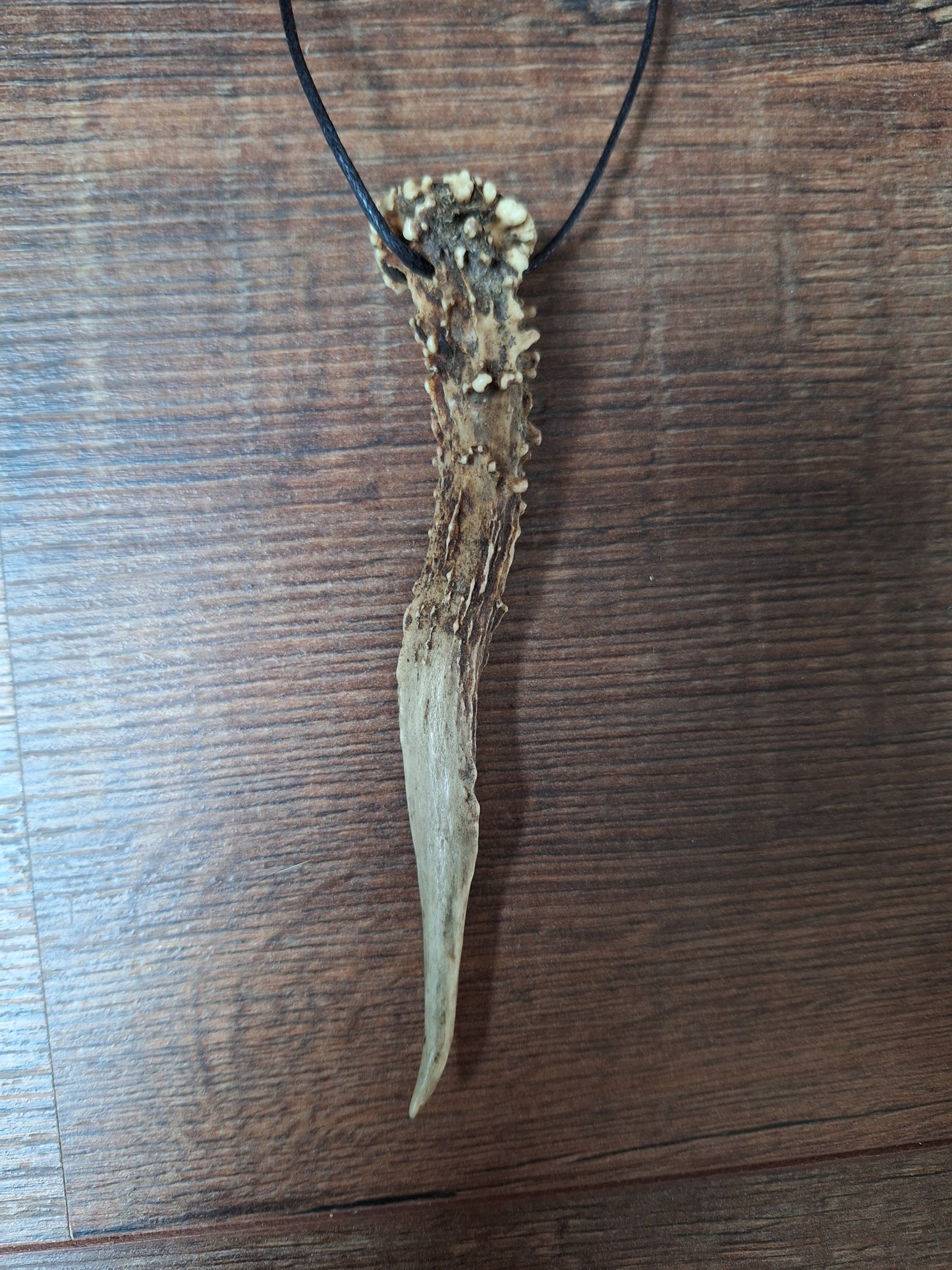 Roe deer antler necklaces