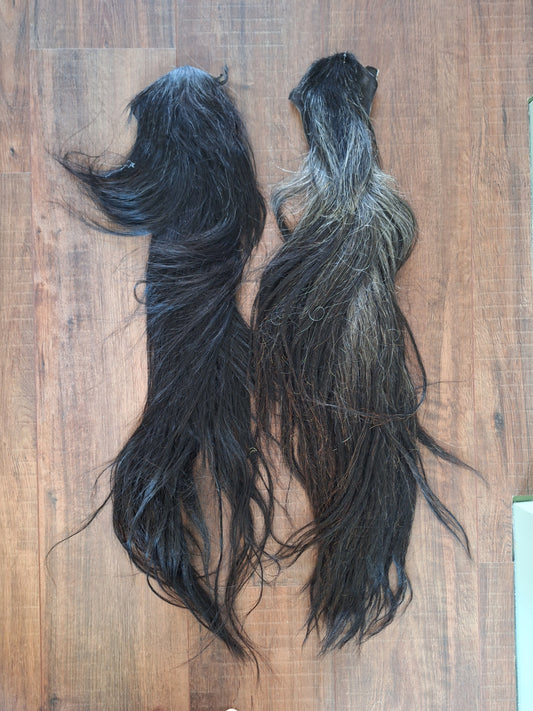 Horse tails #5 and #6