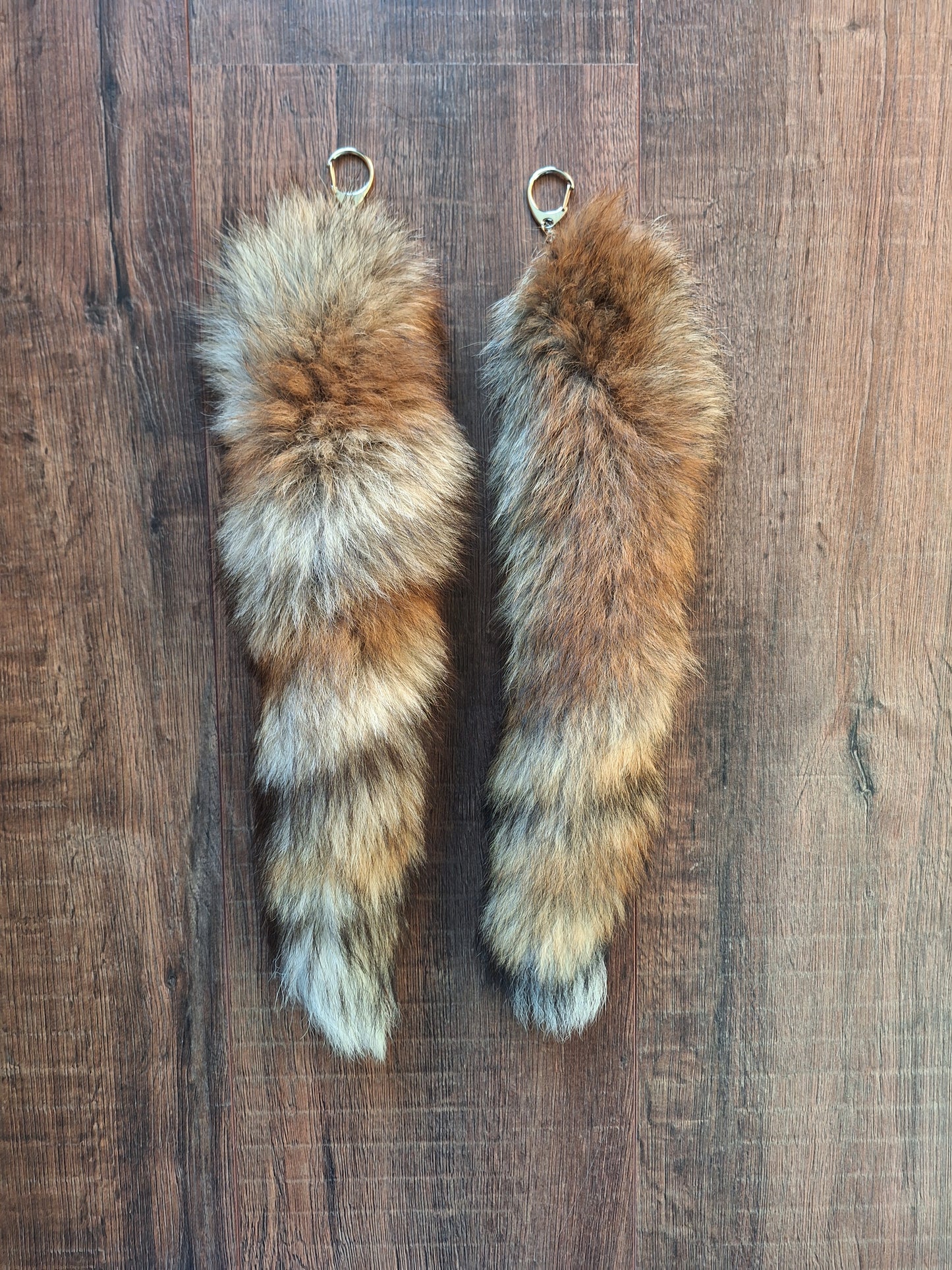 Red fox tails