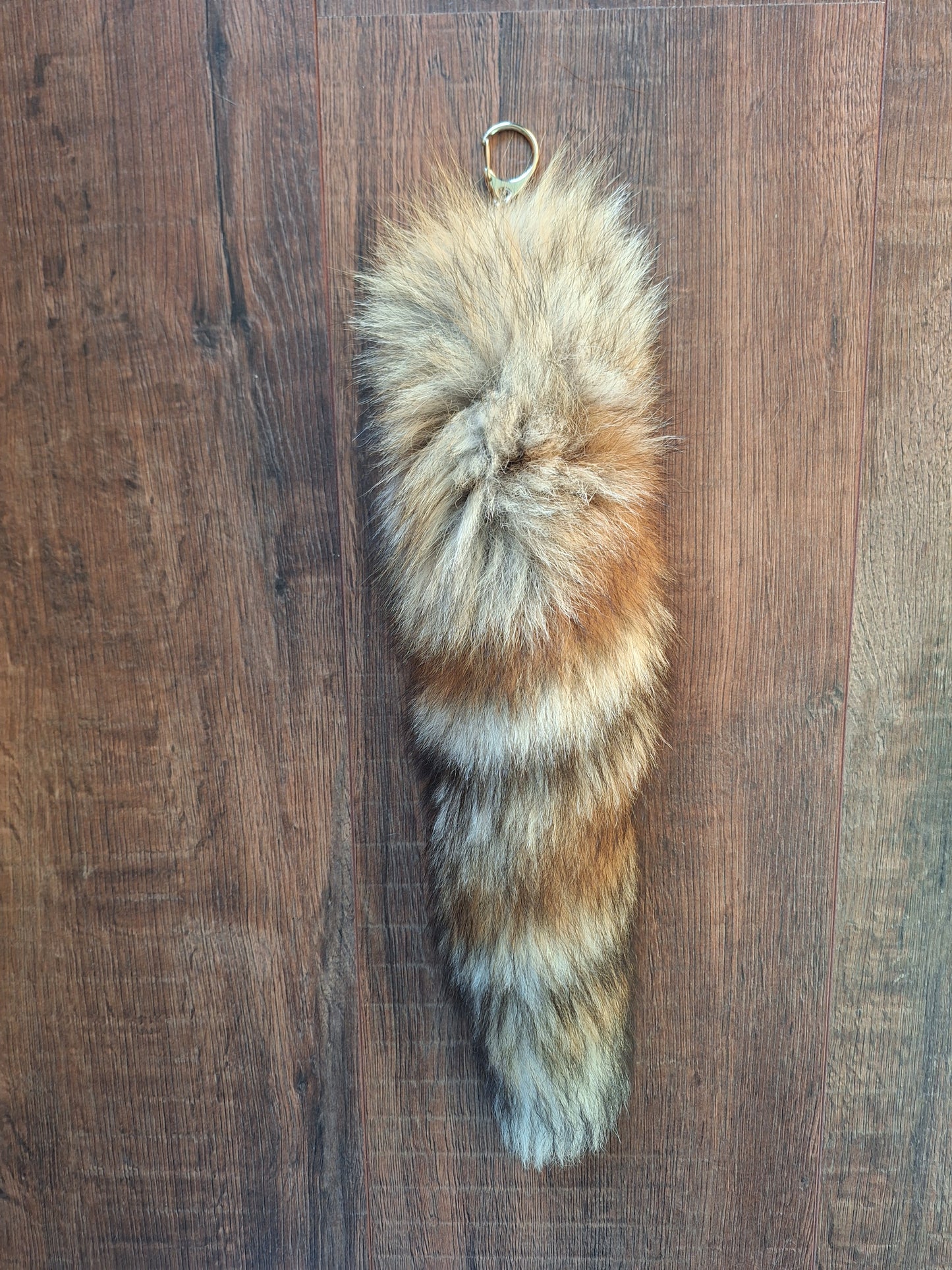 Red fox tails