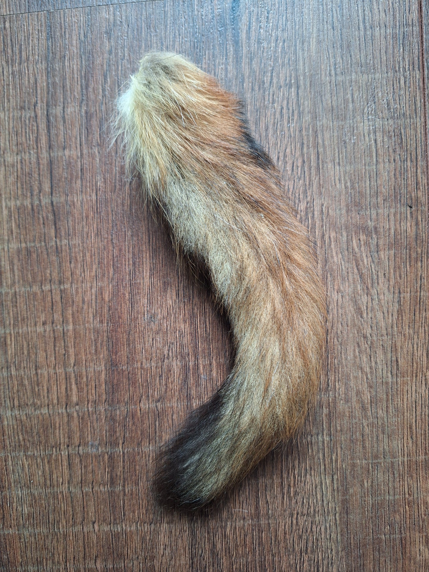 Baby fox tail