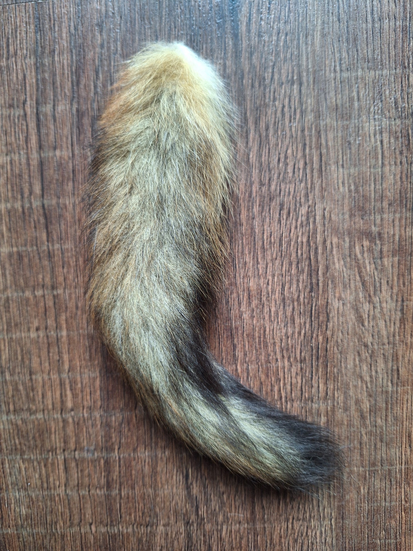 Baby fox tail