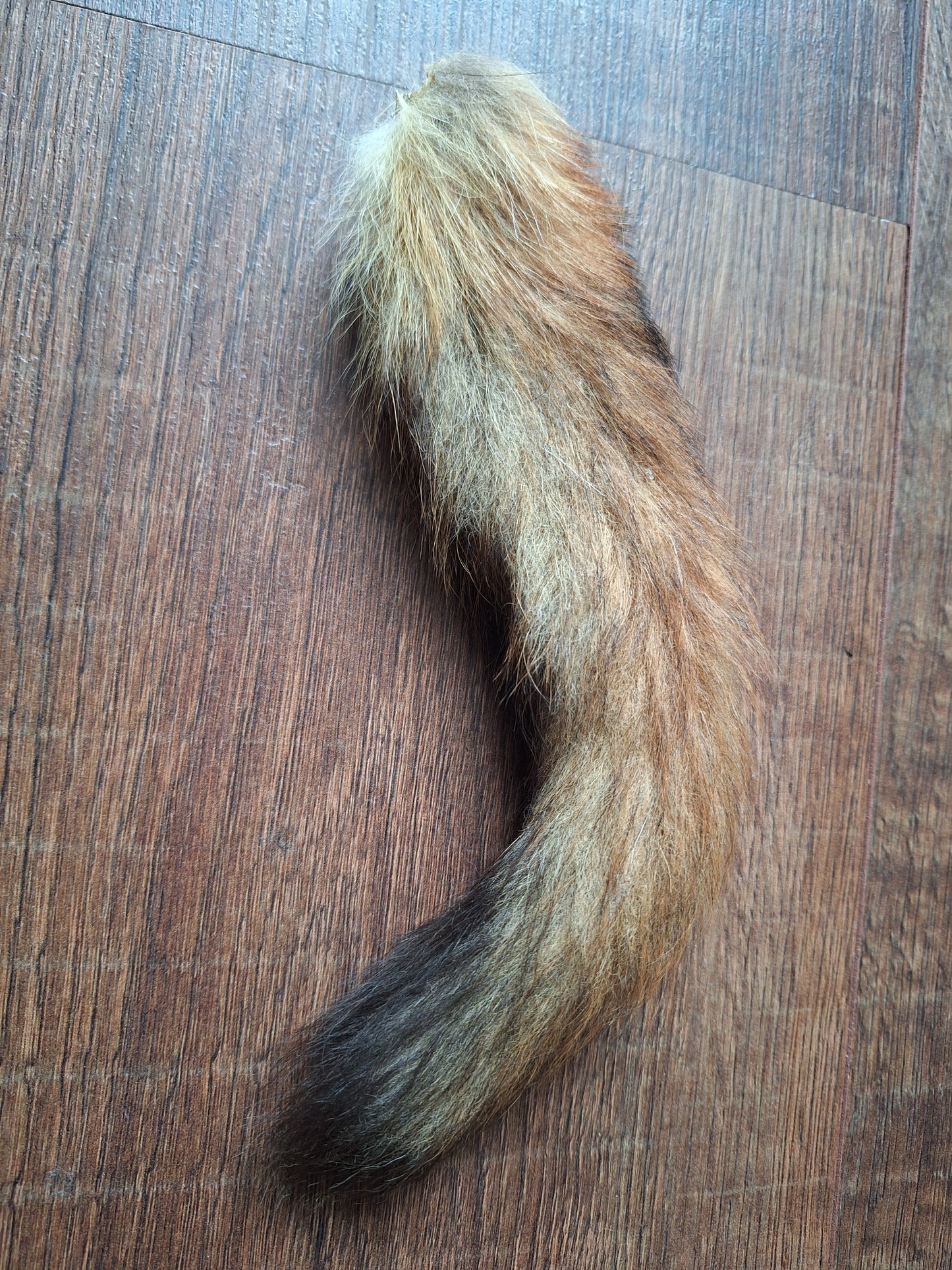 Baby fox tail