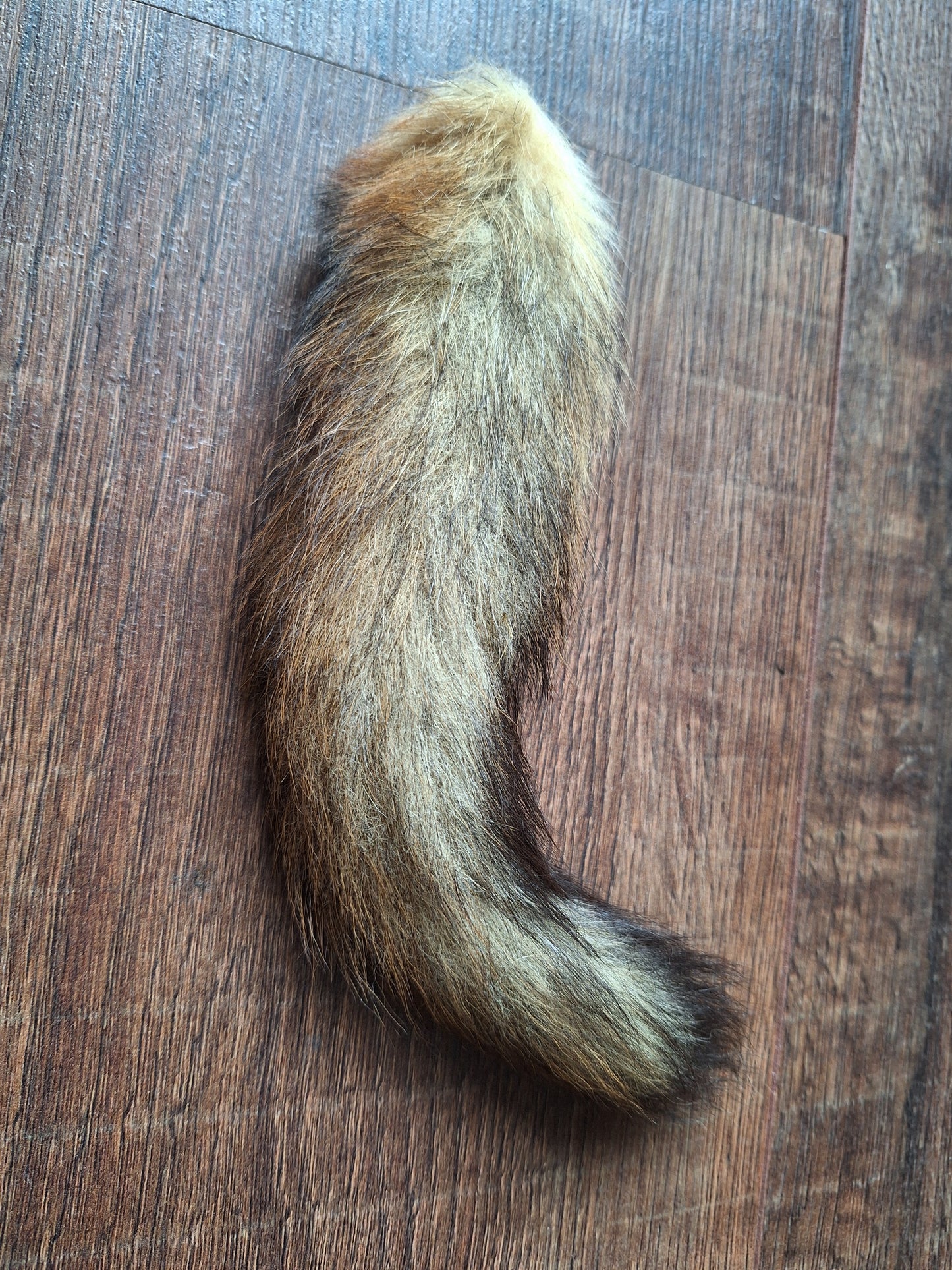 Baby fox tail