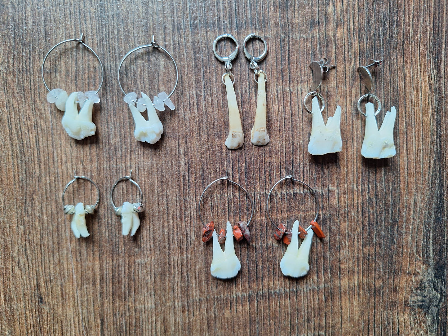 Roe deer teeth amulet earrings