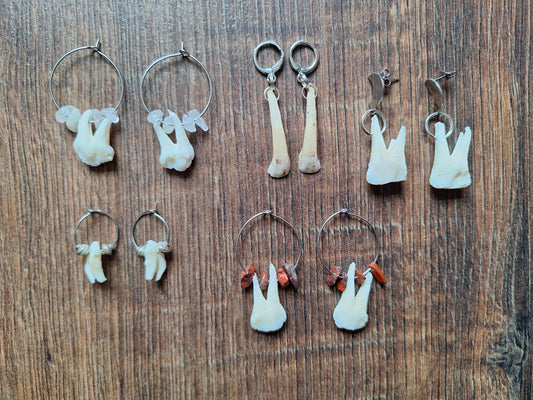 Roe deer teeth amulet earrings