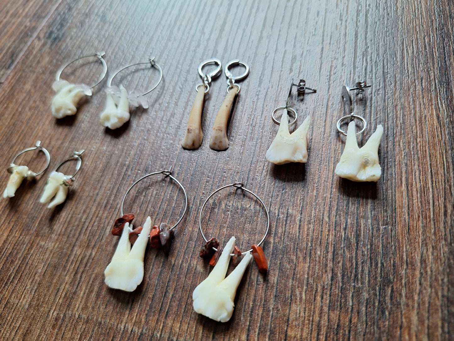 Roe deer teeth amulet earrings