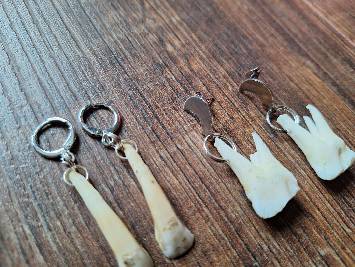 Roe deer teeth amulet earrings