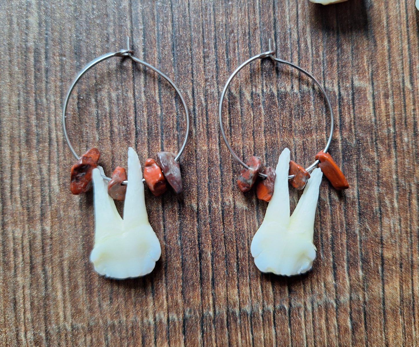 Roe deer teeth amulet earrings
