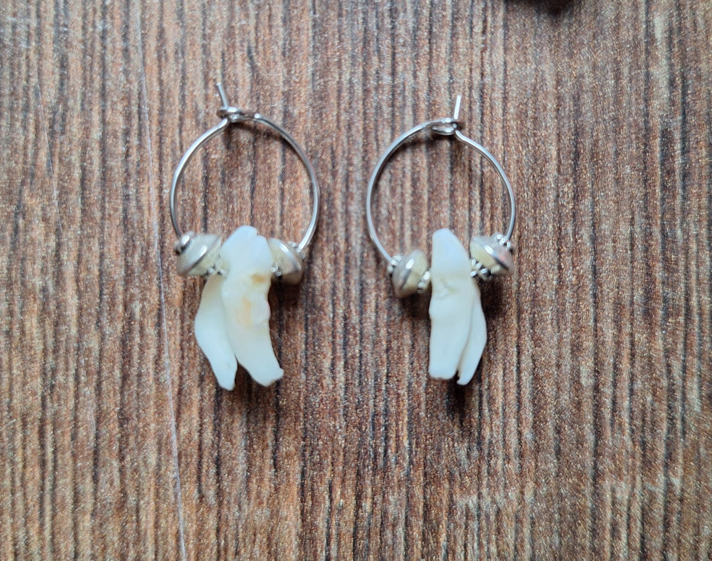 Roe deer teeth amulet earrings