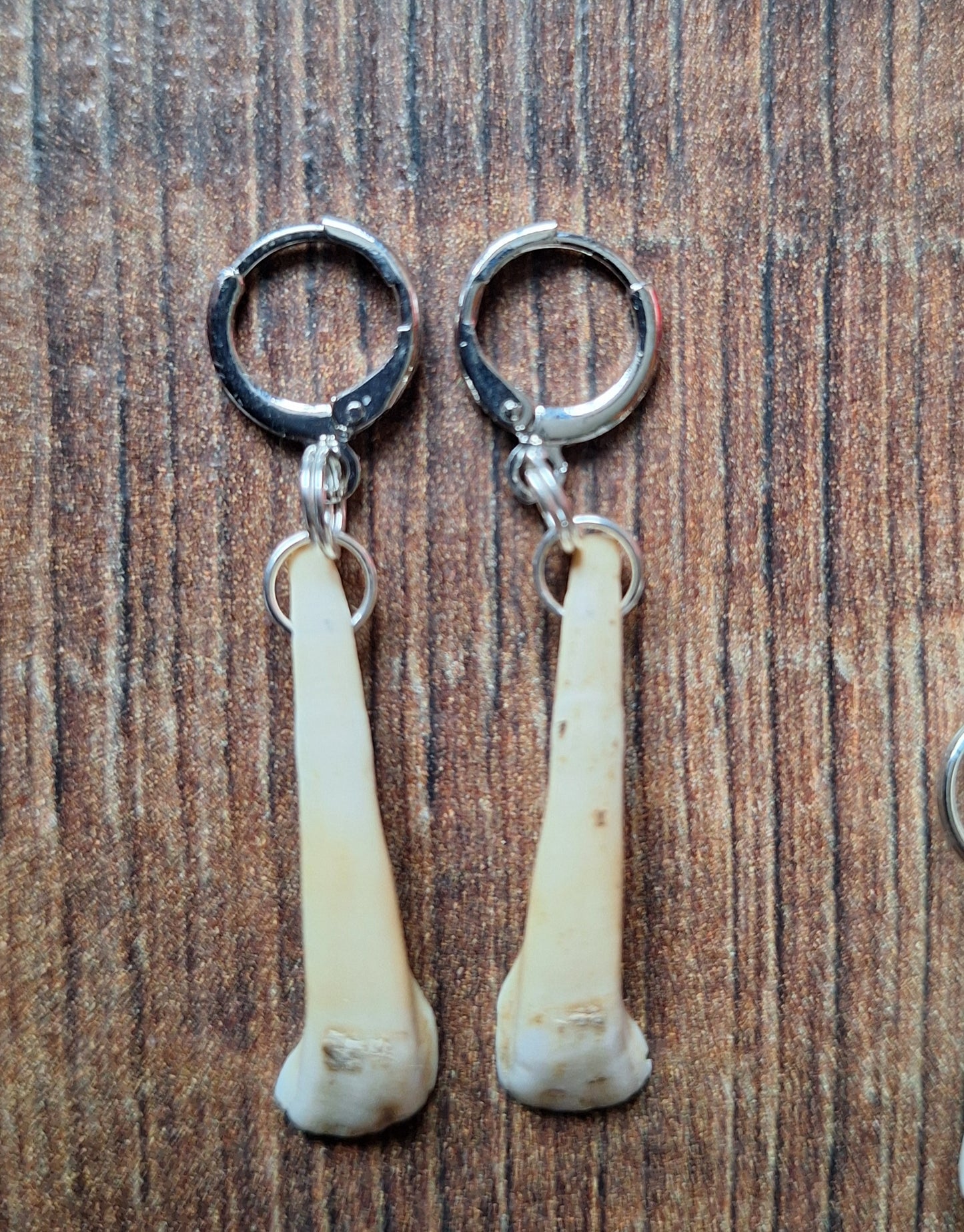 Roe deer teeth amulet earrings