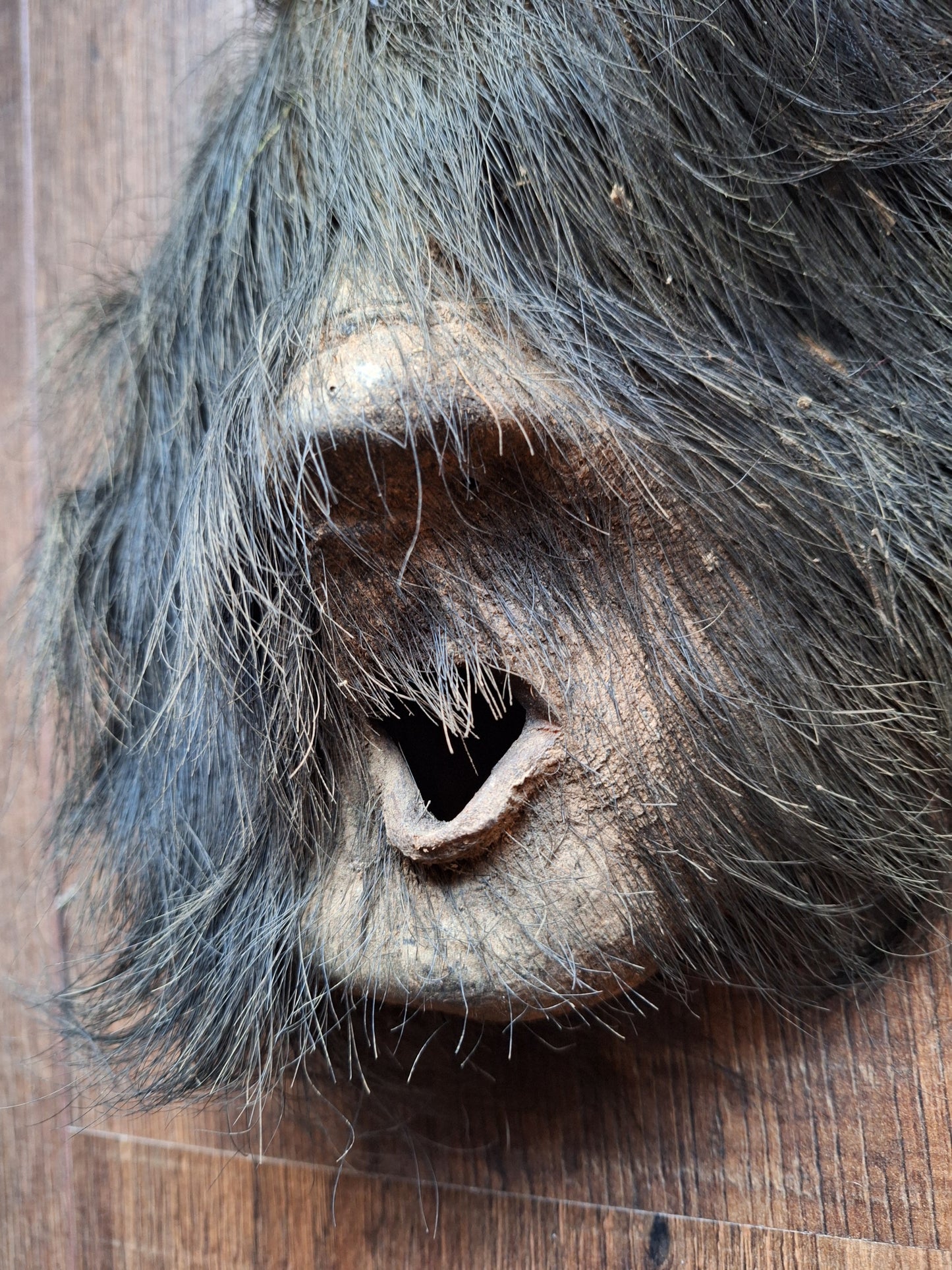 Antique Nepalese yak hide mask #4