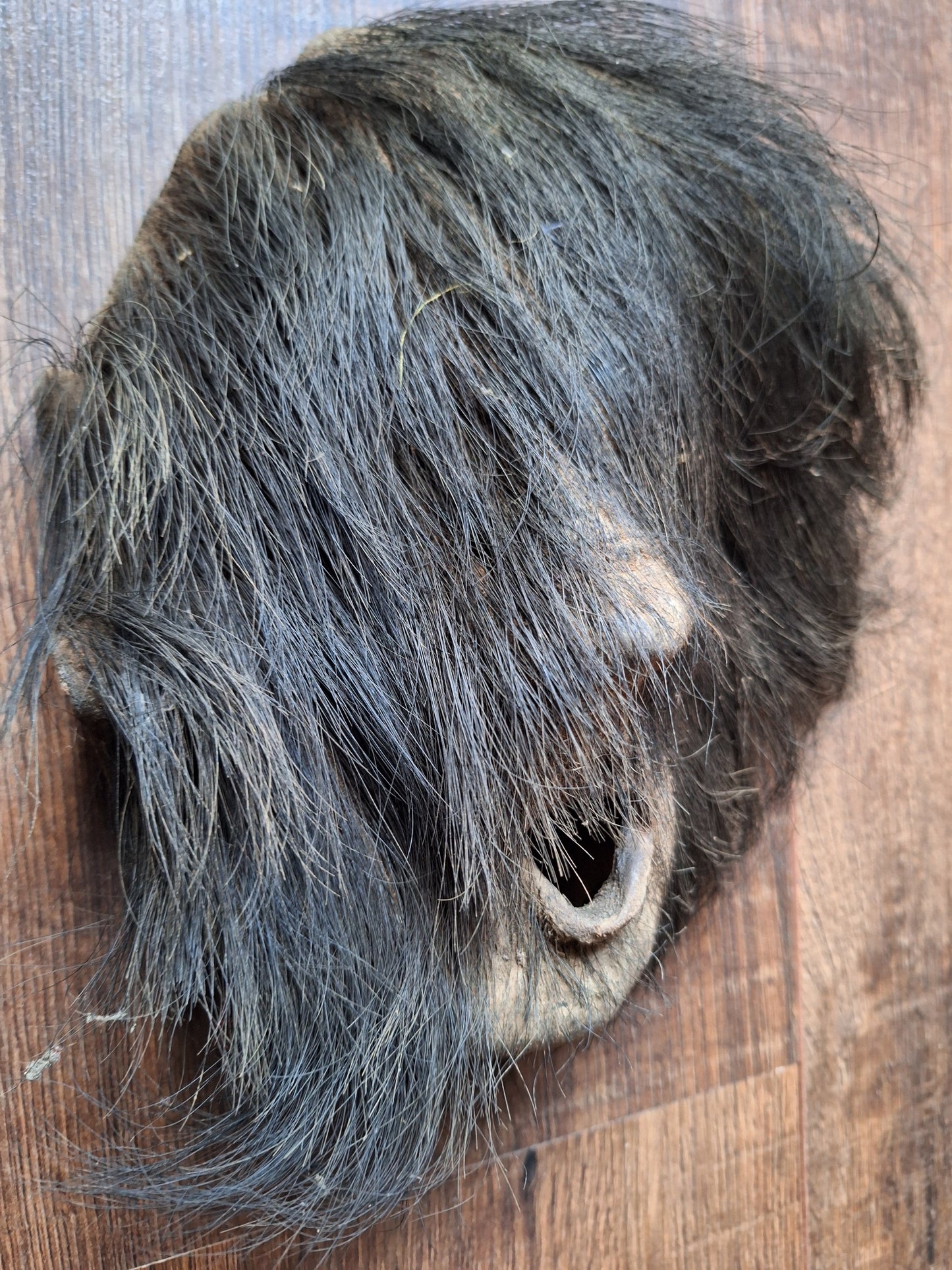 Antique Nepalese yak hide mask #4