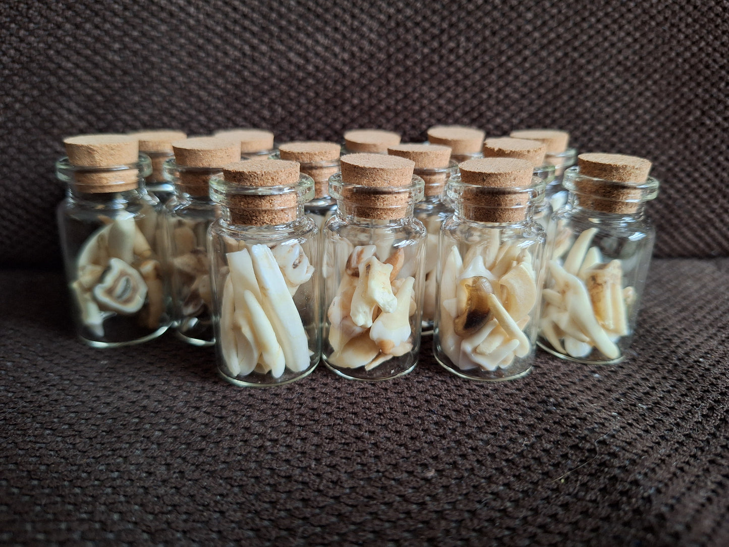 Animal teeth mix bottle #2