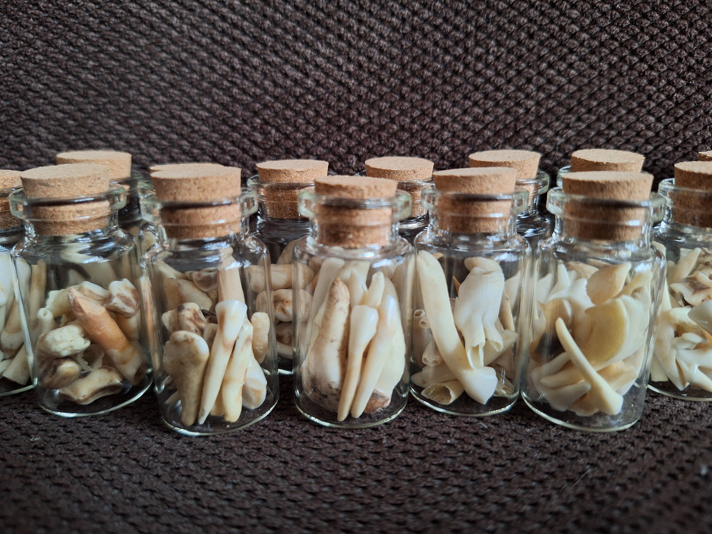 Animal teeth mix bottle #2