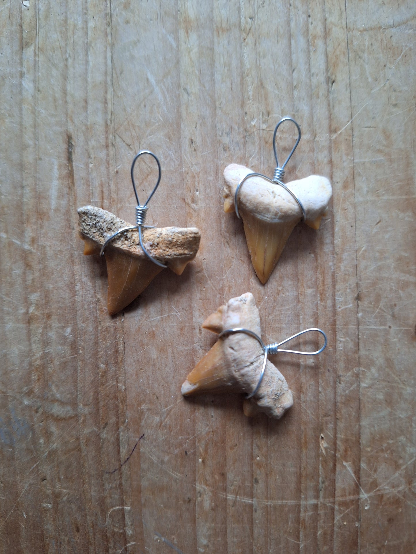 Shark tooth pendant