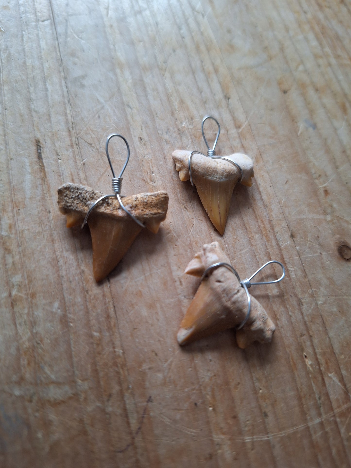 Shark tooth pendant