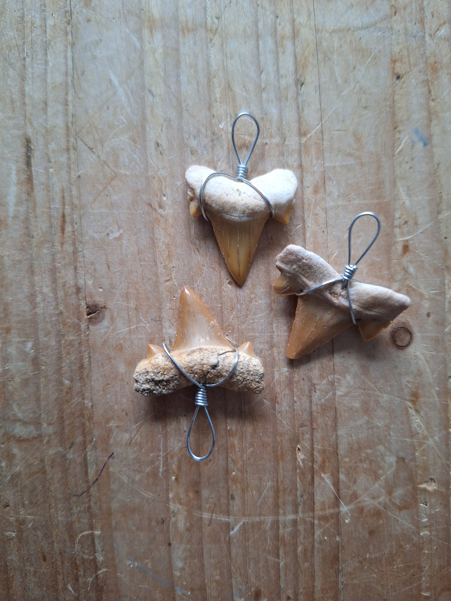 Shark tooth pendant