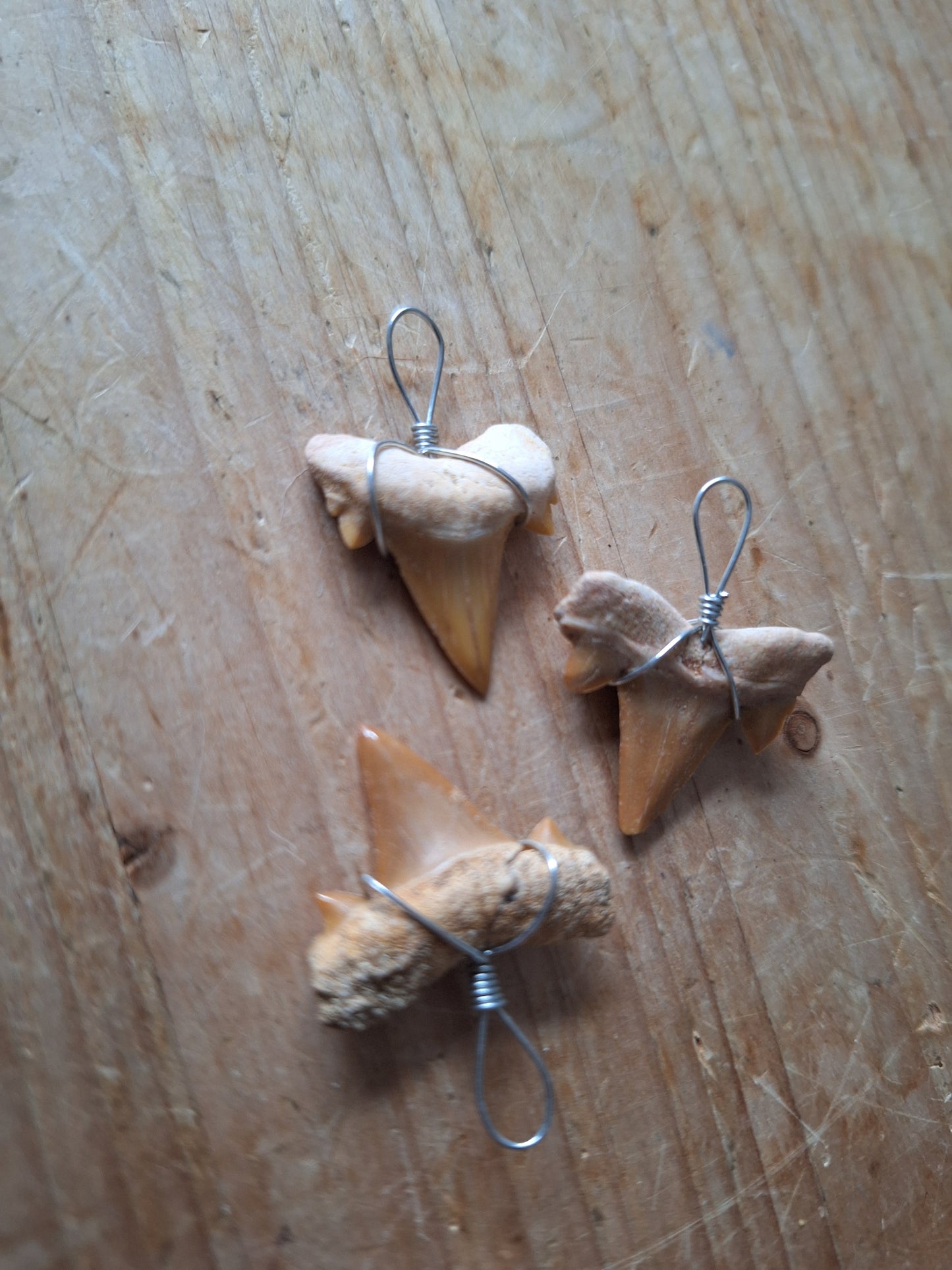 Shark tooth pendant