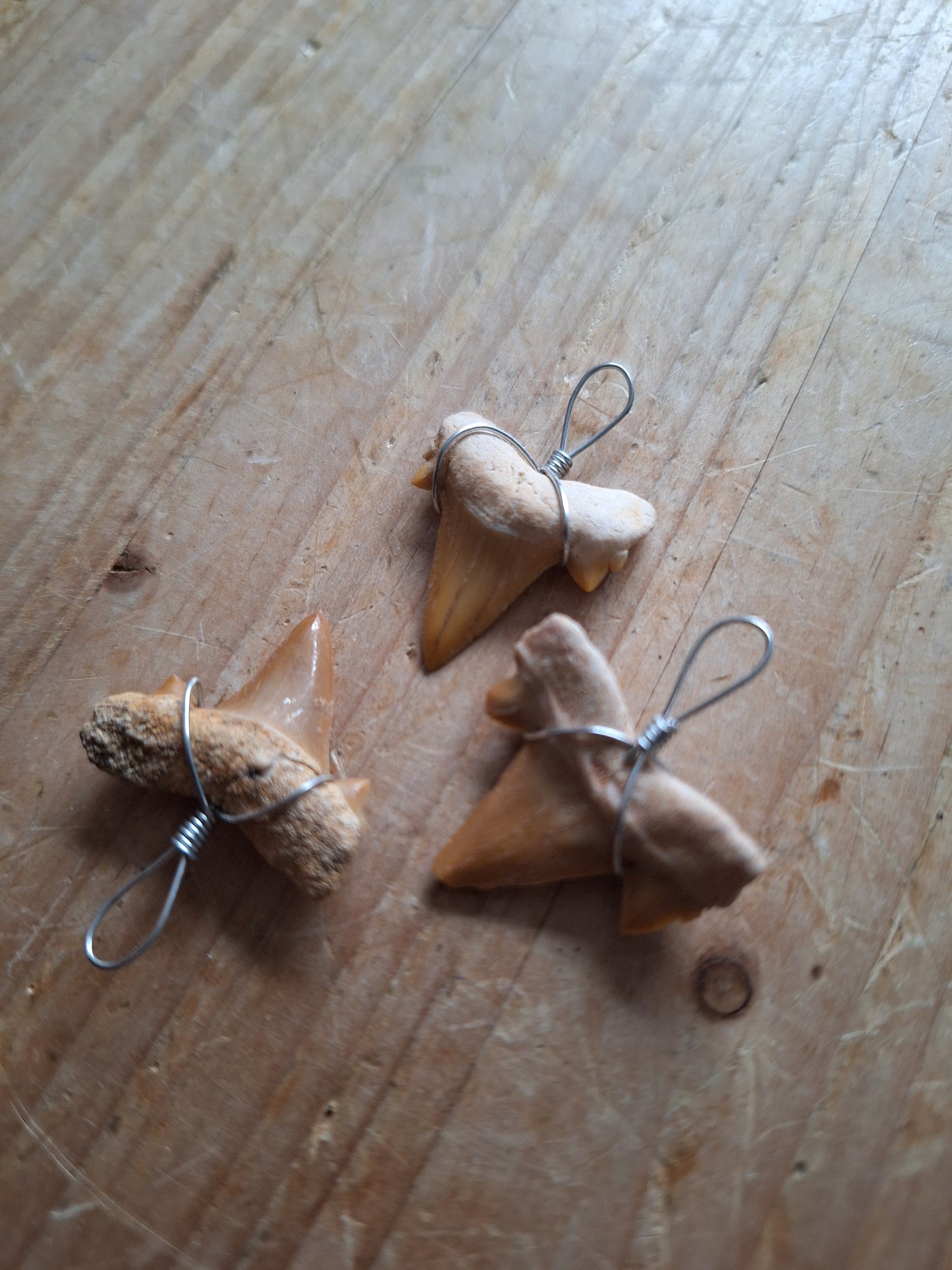 Shark tooth pendant