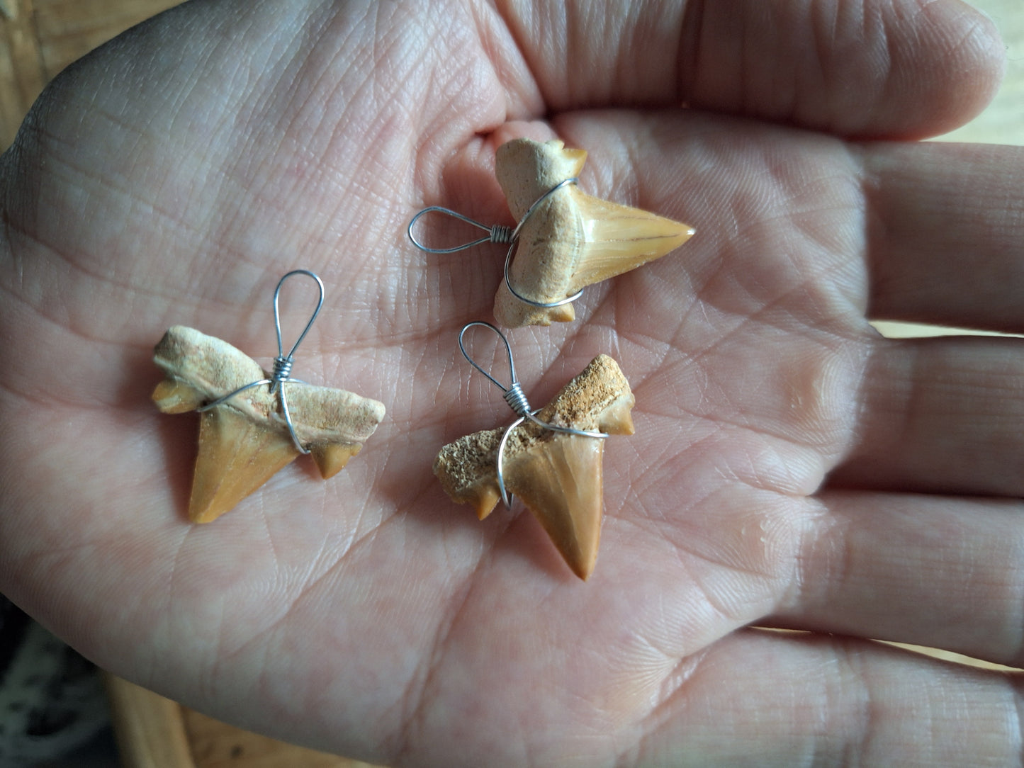 Shark tooth pendant