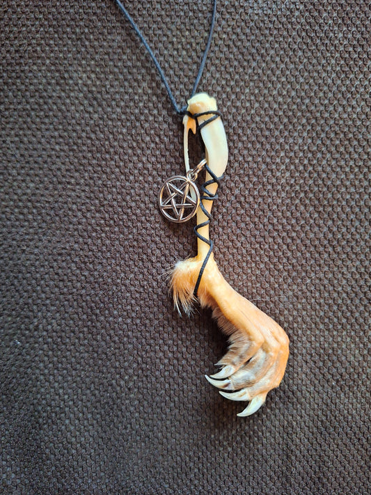 Musk rat paw and pentagram amulet necklace