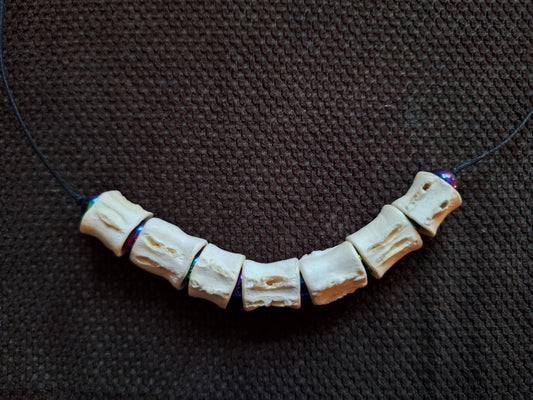 Shark vertebrae and rainbow hematite amulet necklace #2