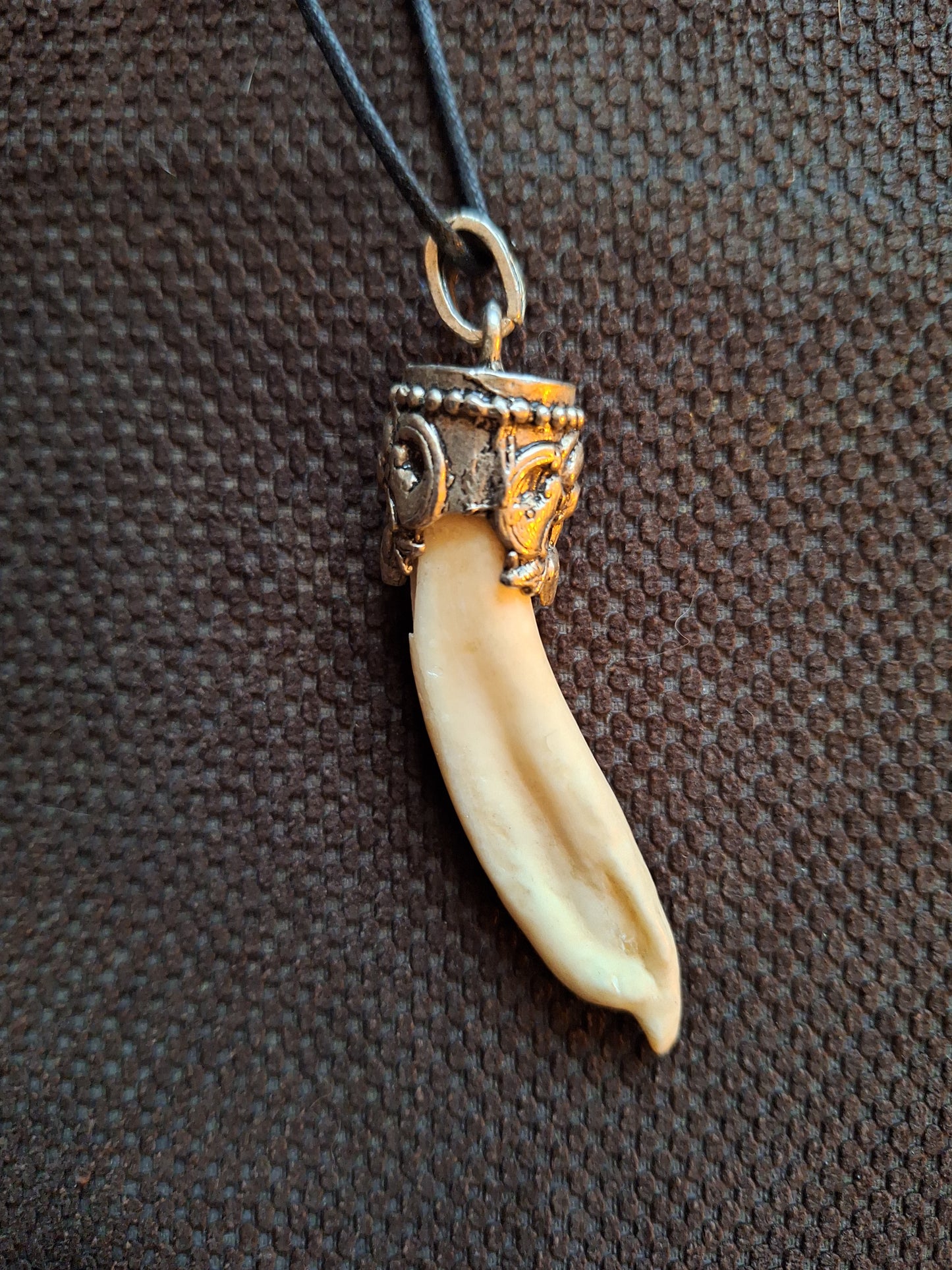 Yak tooth in Tibetan silver necklace