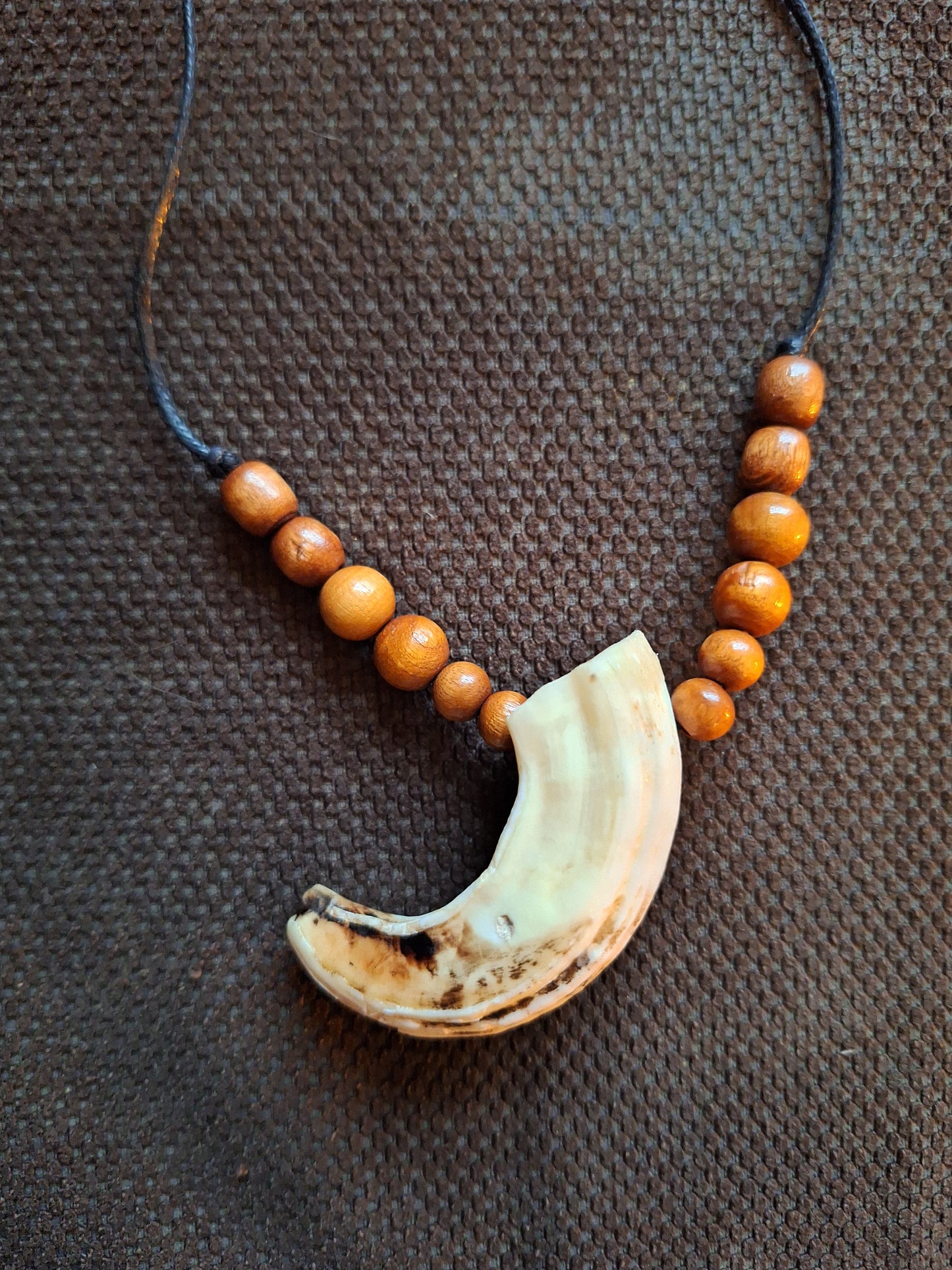 Wild boar tusk amulet necklace