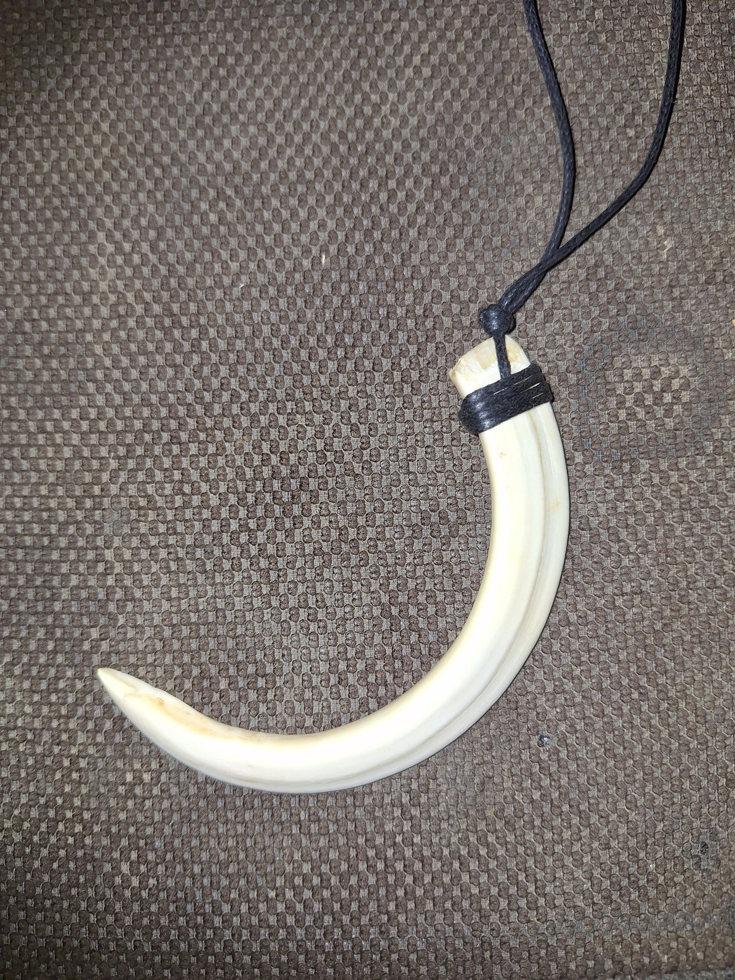 Wild boar tusk amulet necklace