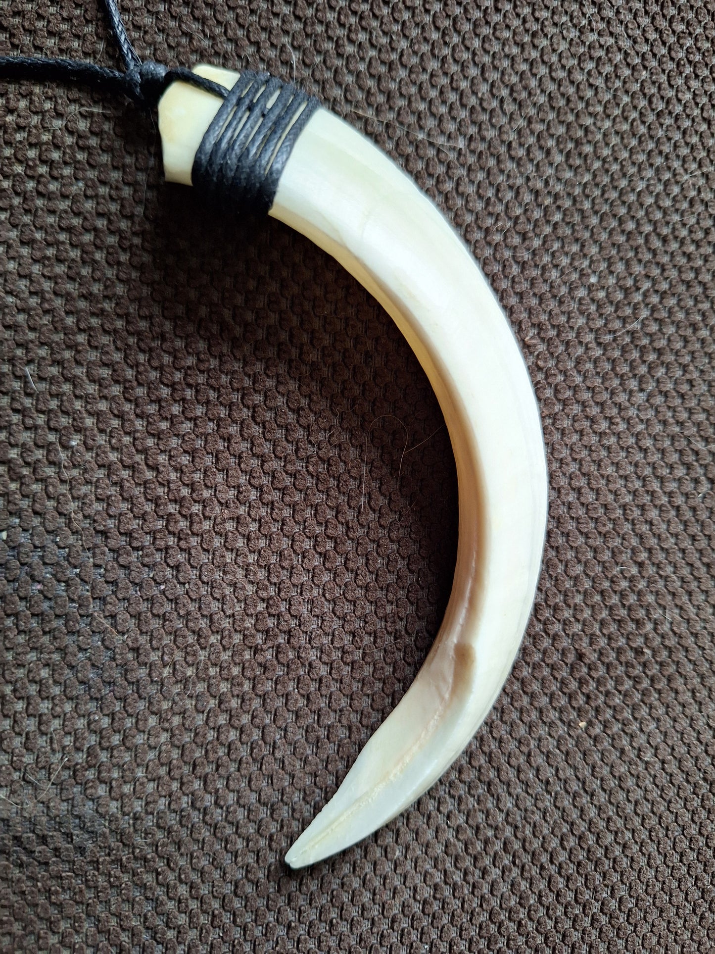 Wild boar tusk amulet necklace