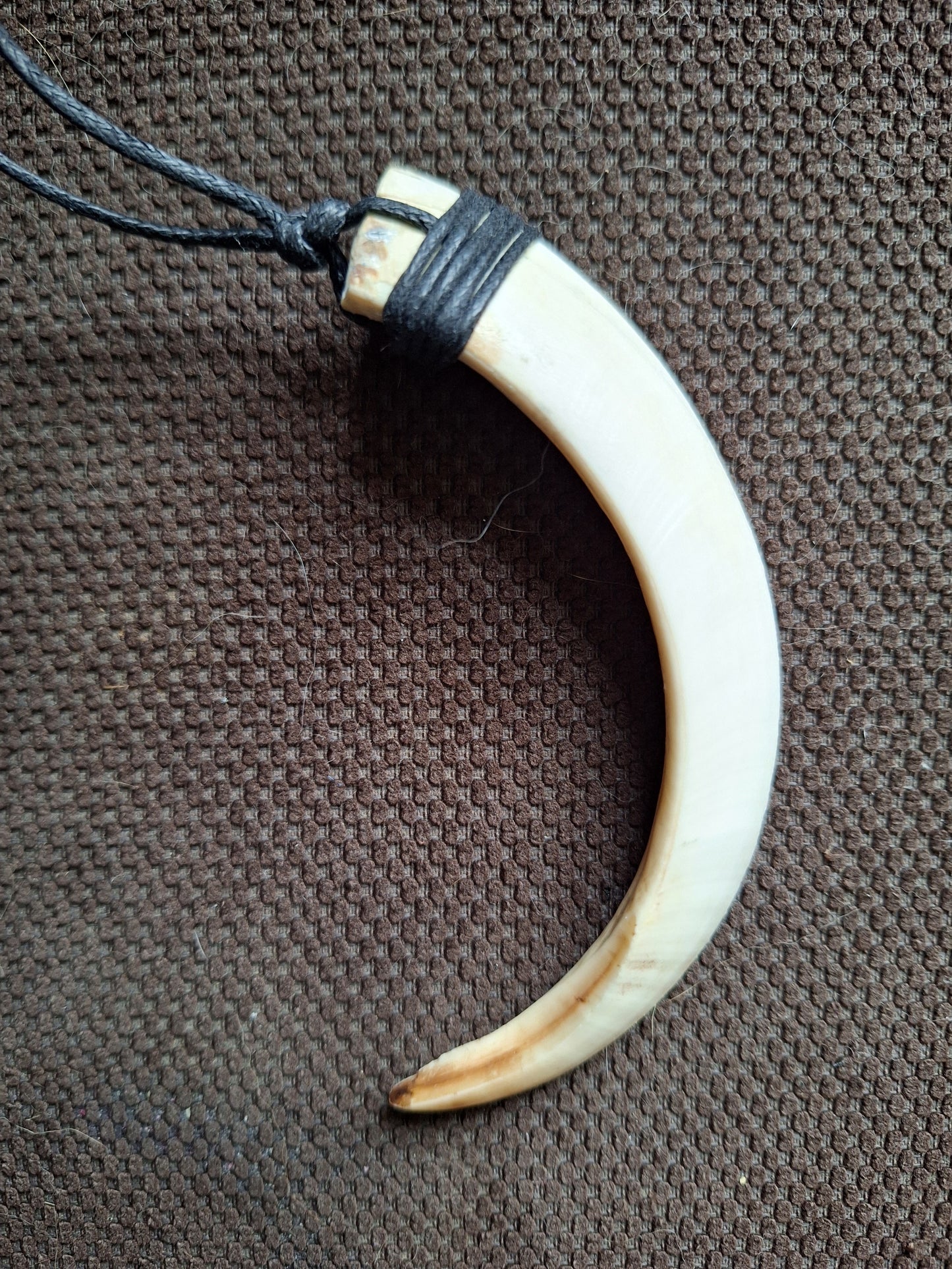 Wild boar tusk amulet necklace