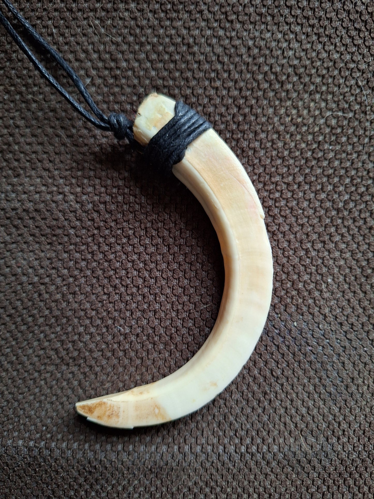 Wild boar tusk amulet necklace