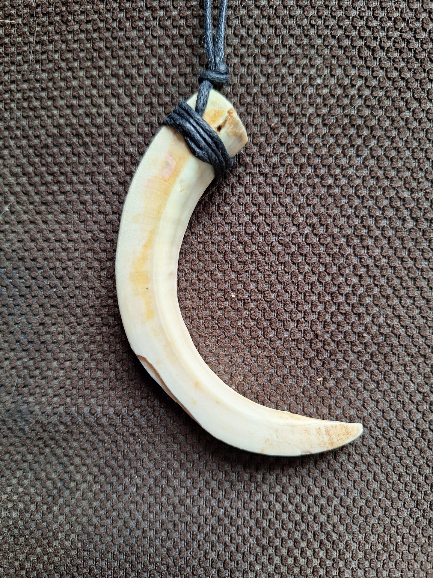 Wild boar tusk amulet necklace