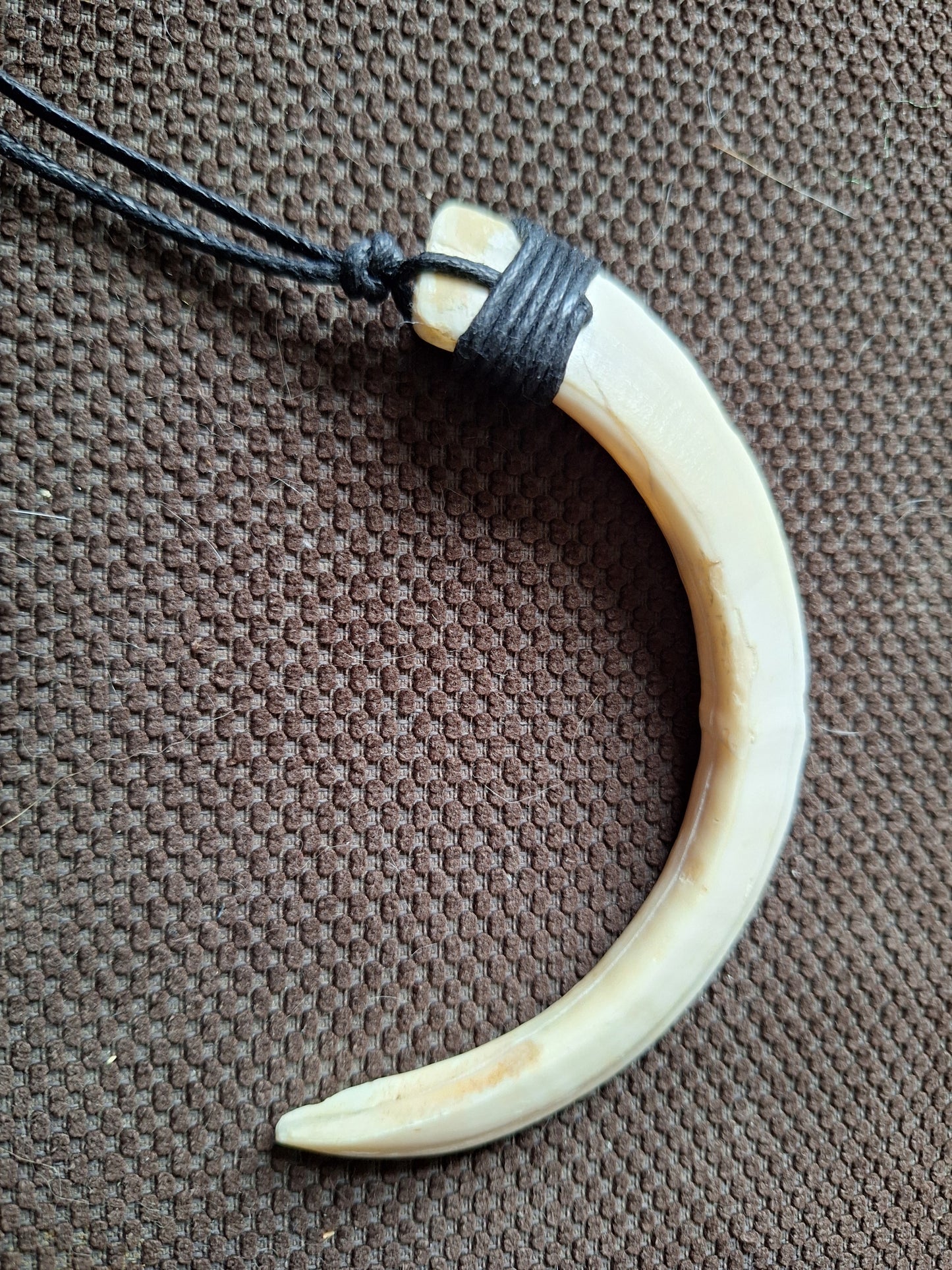 Wild boar tusk amulet necklace